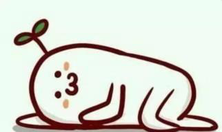 趴